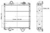 ORDONEZ 1020510825 Radiator, engine cooling